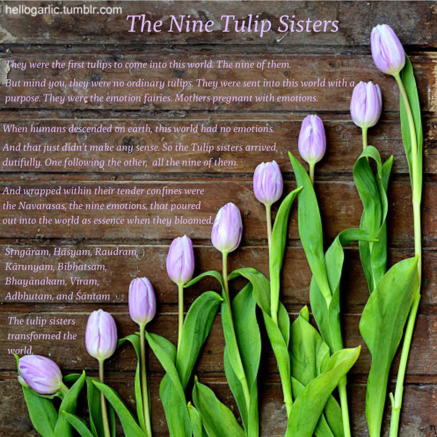 The Nine Tulip Sisters