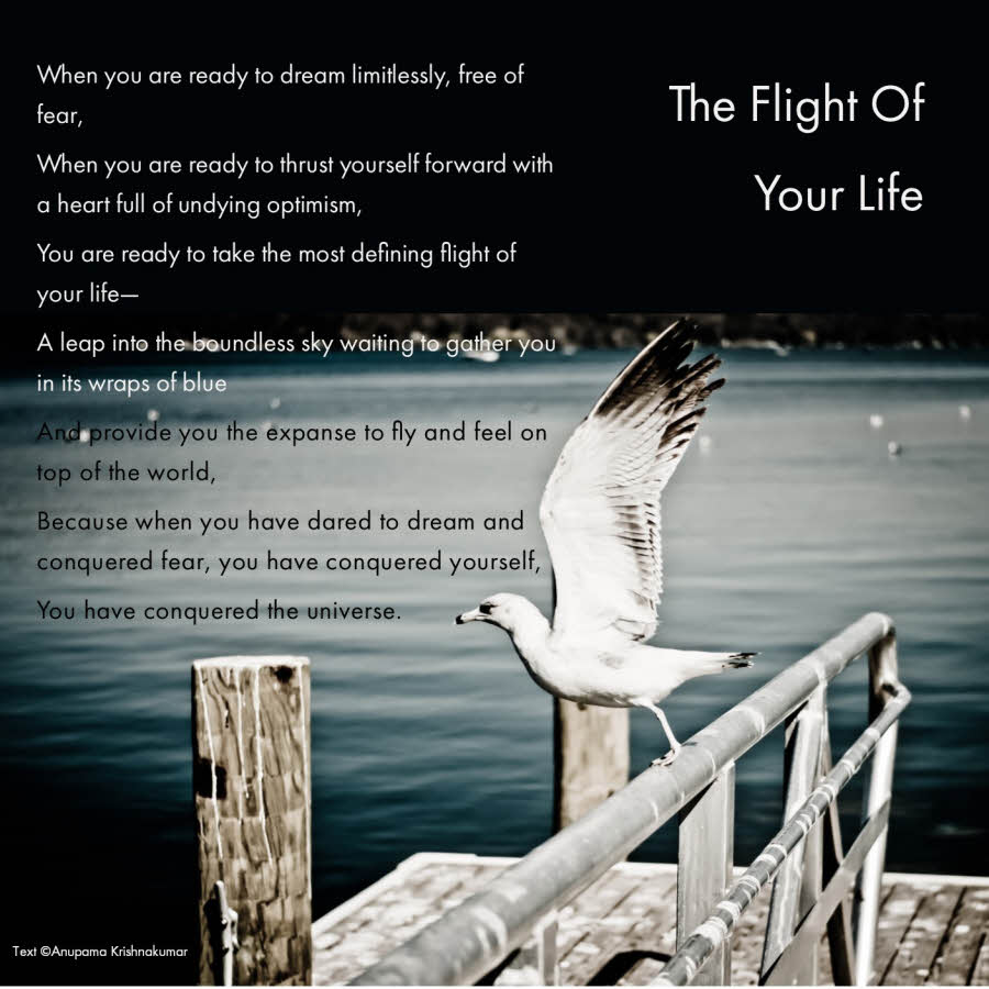 The Flight Of Your Life